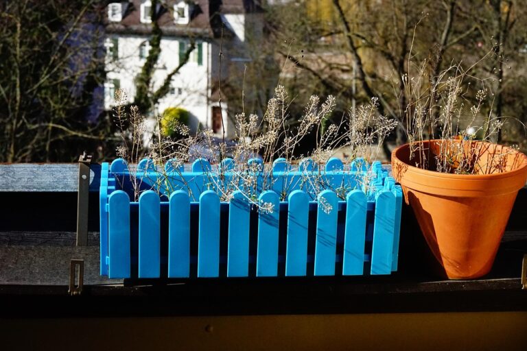 Orto sul balcone in primavera: ecco le 5 piante da coltivare subito
