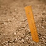 Immagine di un semenzaio fai da te con piante in crescita e attrezzi da giardinaggio.